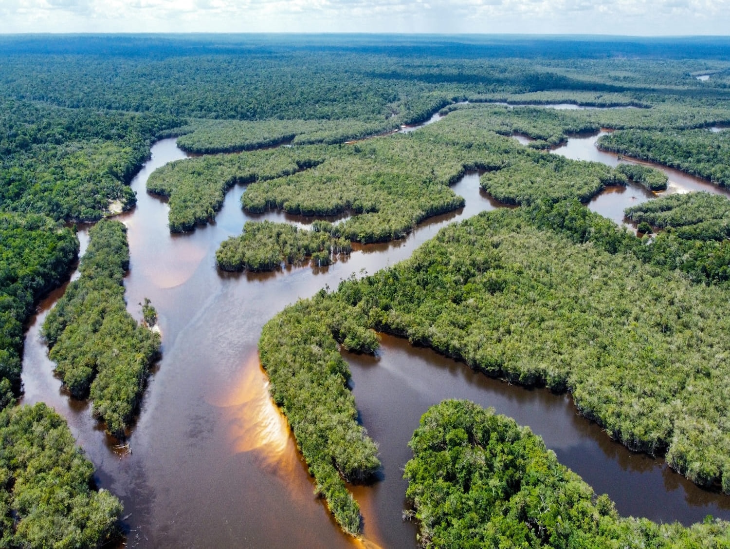 Aerial view of Amazon river tributaries winding through Ecuador rainforest